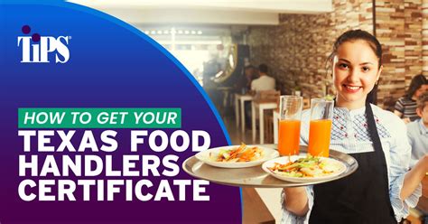 on the fly tabc and food handlers|Texas Food Handlers Certification Online